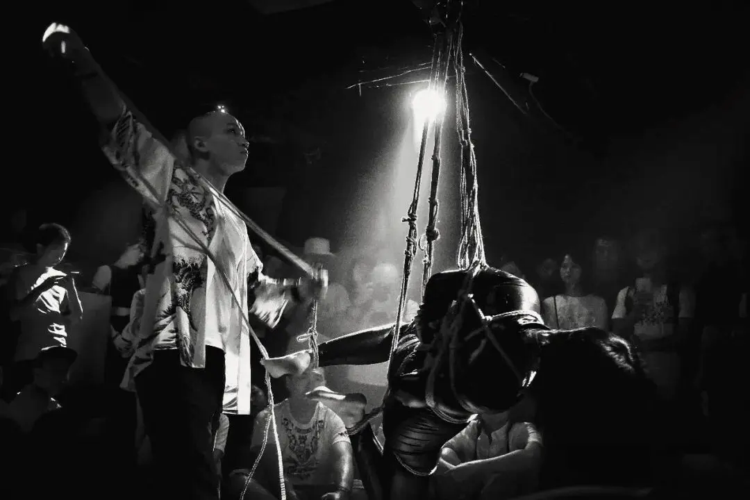 k8猫系一探究竟:你了解这个独特文化的魅力吗? 一