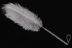 “ddlg”到底是什么？揭秘这个圈子的秘密真相 一