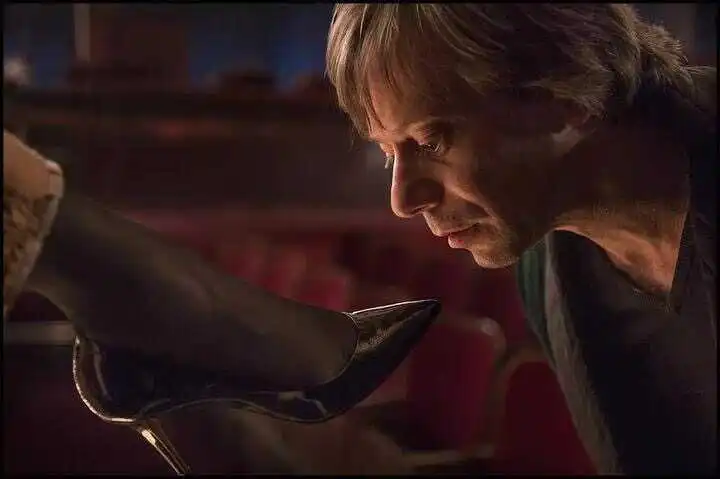 什么是s属性？探索你未曾了解的情感与倾向 一