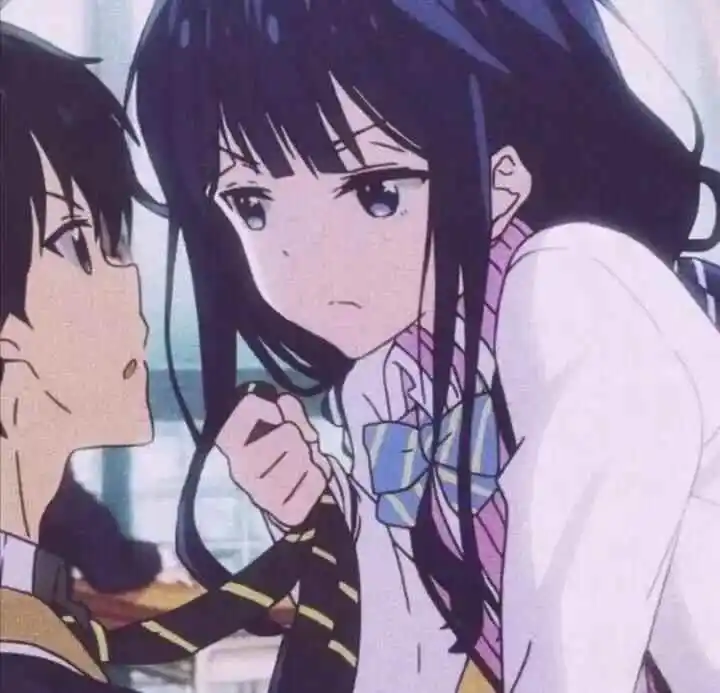 “k9犬系”探索：如何找到你的完美伙伴？ 一