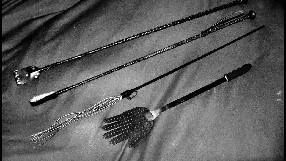 “K9”到底是什么?探秘BDSM游戏中的“忠诚犬”! 一