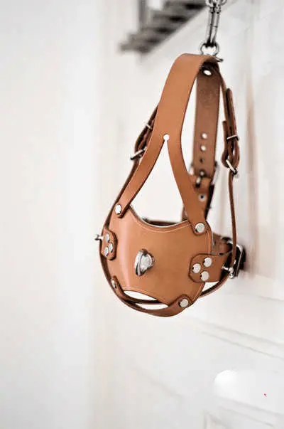 “S属性的秘密:你真的了解自己的内心需求吗?” 一