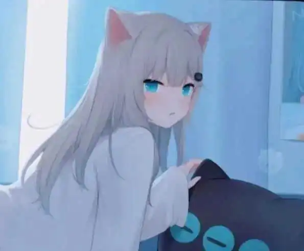 k8猫系的秘密-了解猫奴与猫的游戏世界 一