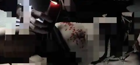 “女王的支配游戏：如何成为他心目中的绝对主宰？” 一