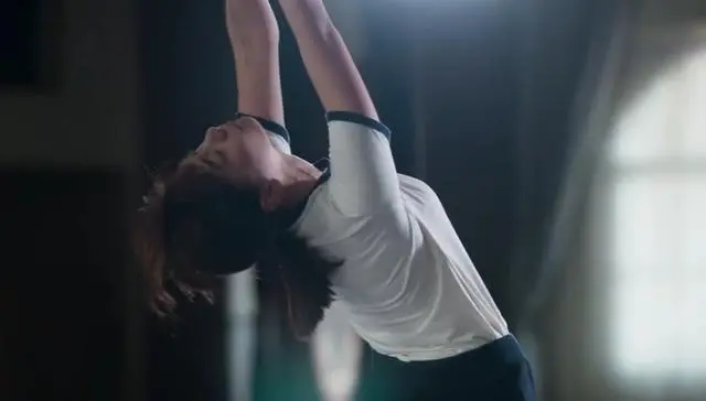 “k9犬系”是什么？探索它背后的真实魅力与体验 一