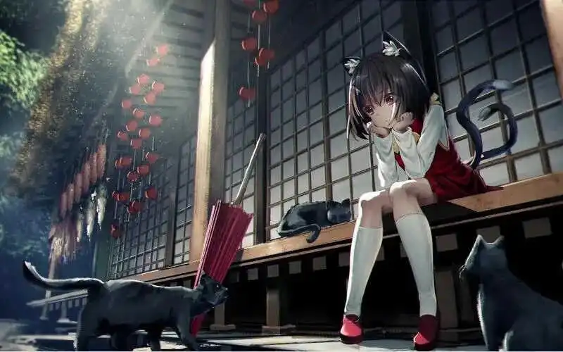 字母圈入圈指南,你准备好探索自己的内心世界了吗? 一