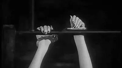 如何理解字母圈的多样性与奥秘 一