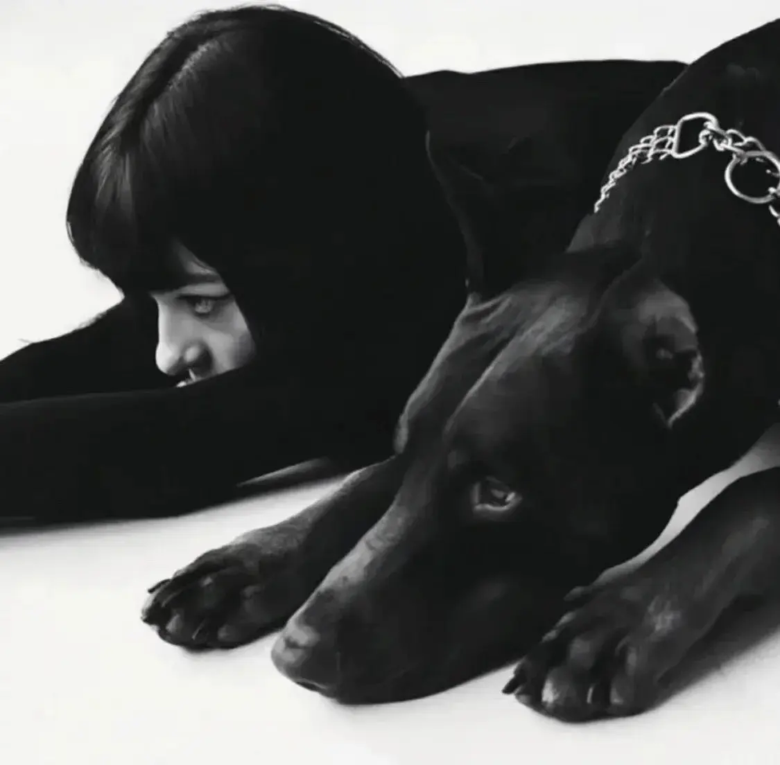 在字母圈中，如何找到合适的k8猫系伴侣？ 一