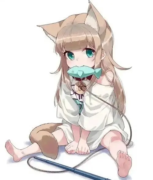 “S属性”如何定义与理解？探索这背后的秘密！ 一