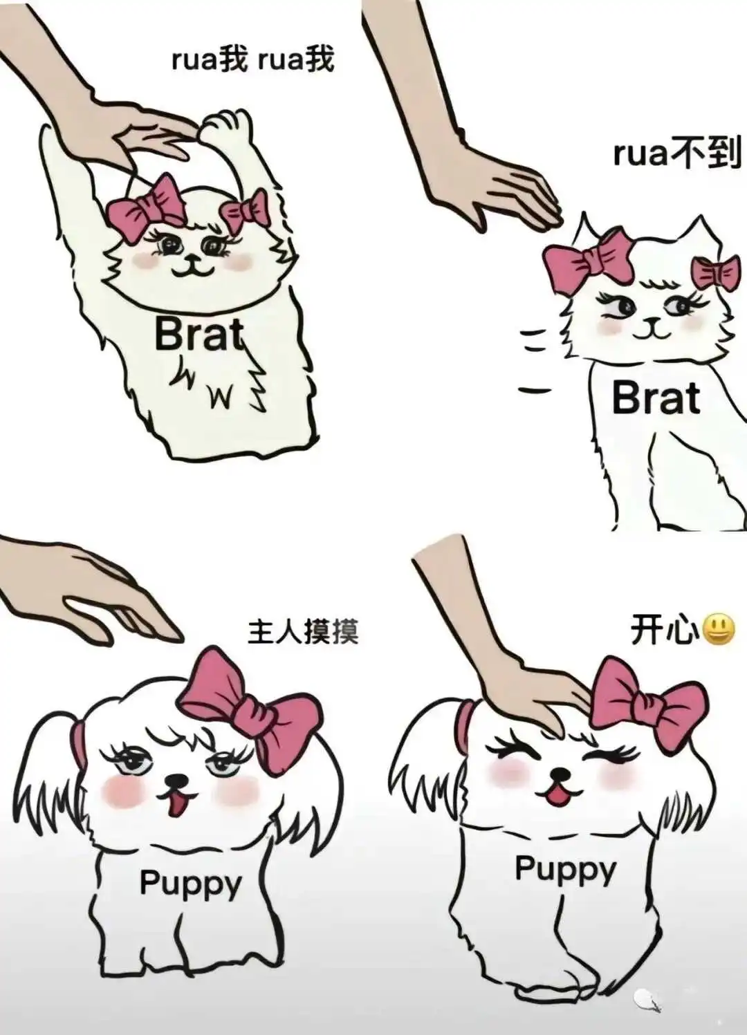 字母圈k8的正确姿势 一