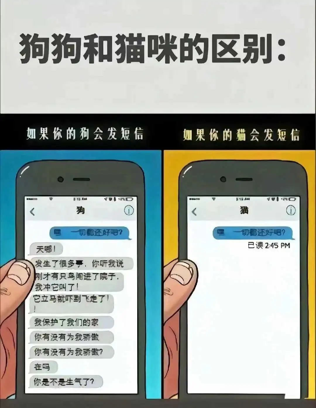 西檬之家-Brat属性是什么?新人必看指南 一