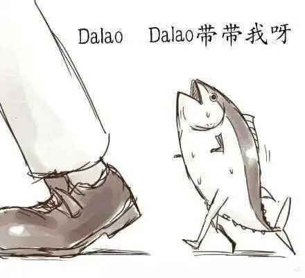 SP小圈的管教属性是什么 一