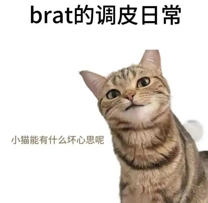 西檬之家k9是什么？字母圈K9与K8的区别详解 一