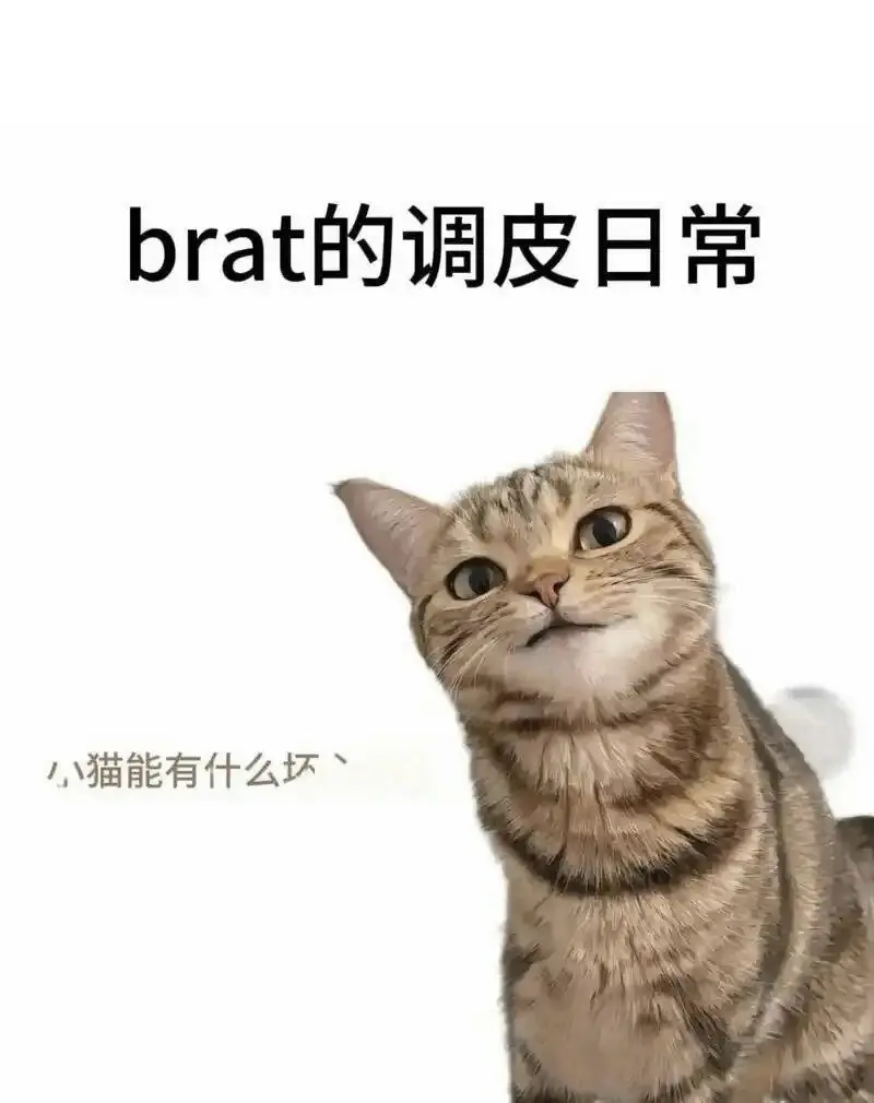 西檬之家ddlg是什么?你的字母圈属性是什么? 一