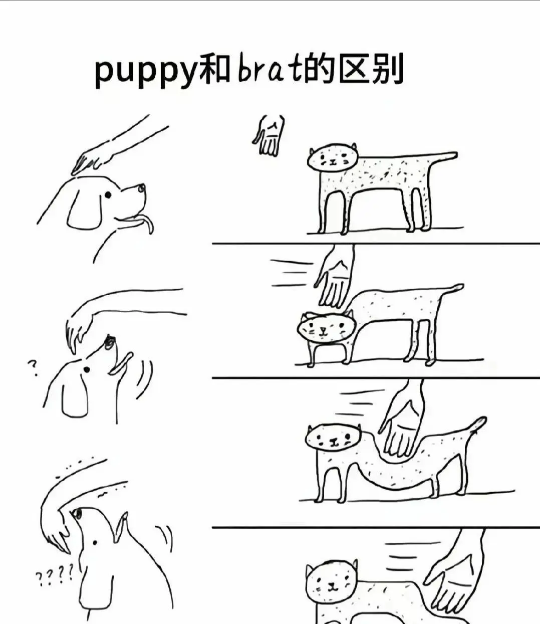 西檬之家字母圈K9是什么?绝对服从的犬系信物 一