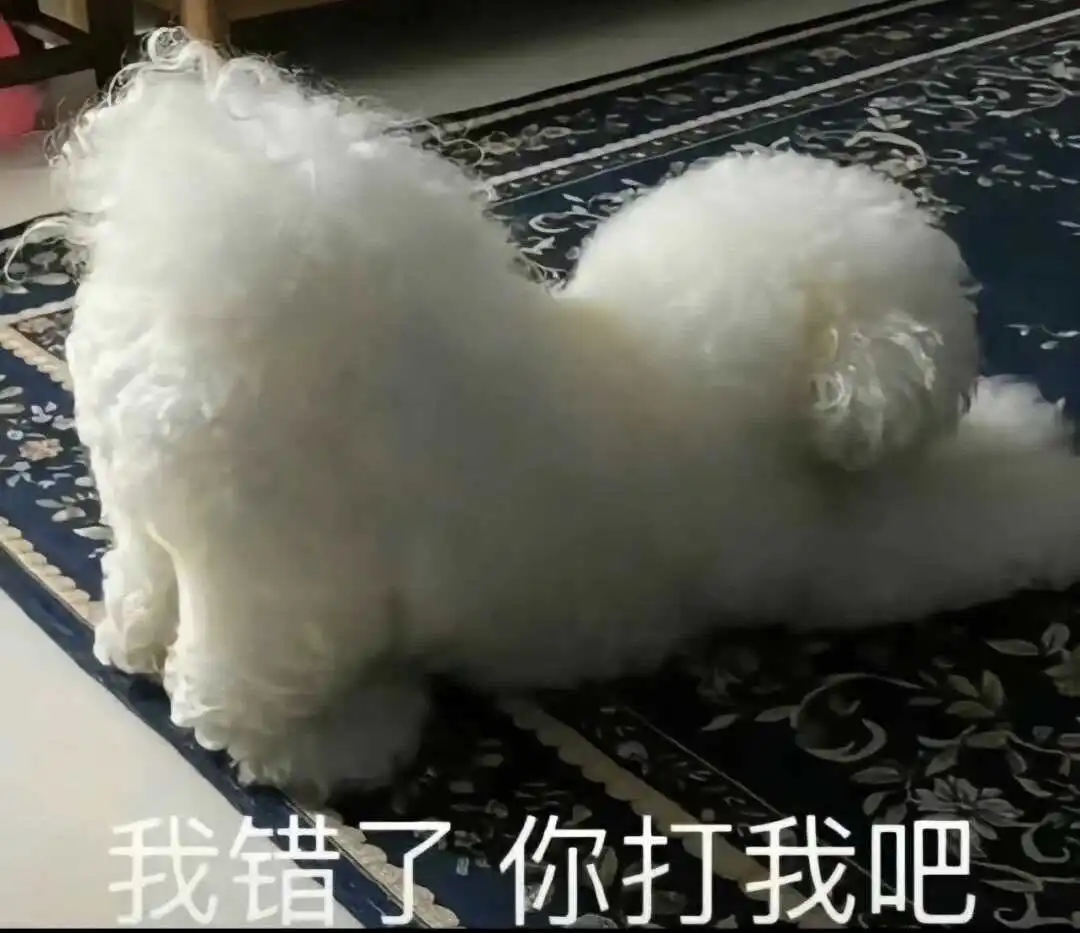 西檬之家s属性的真正含义 一