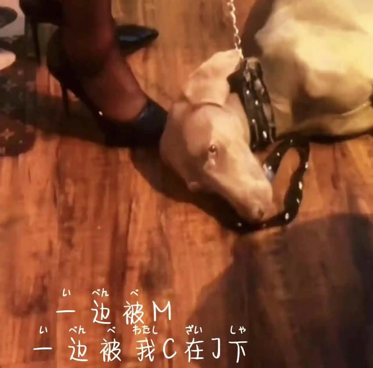 西檬之家字母圈中的PE权力交换含义 一